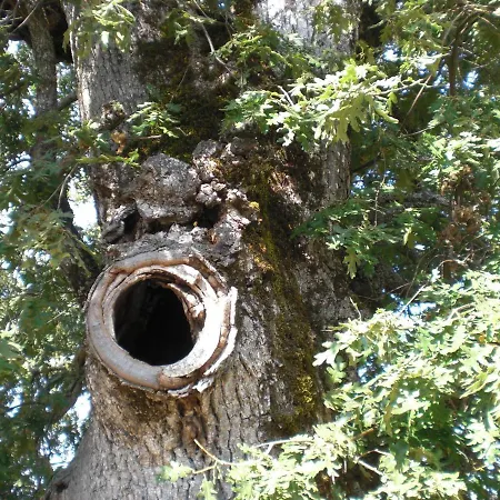 Hotel Rural Valle Del Tuejar *