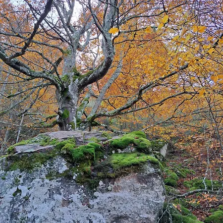 Hotel Rural Valle Del Tuejar Taranilla