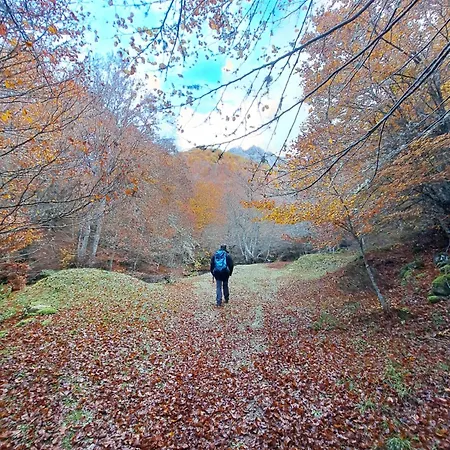 Hotel Rural Valle Del Tuejar